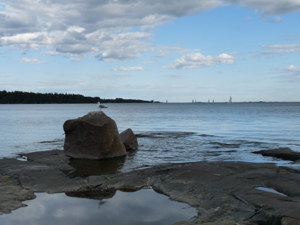 Haukilahti Espoo by Michał Kozłowski