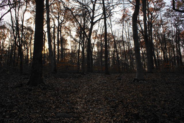 Horse Shoe Trail at French Creek State Park by EHJ666