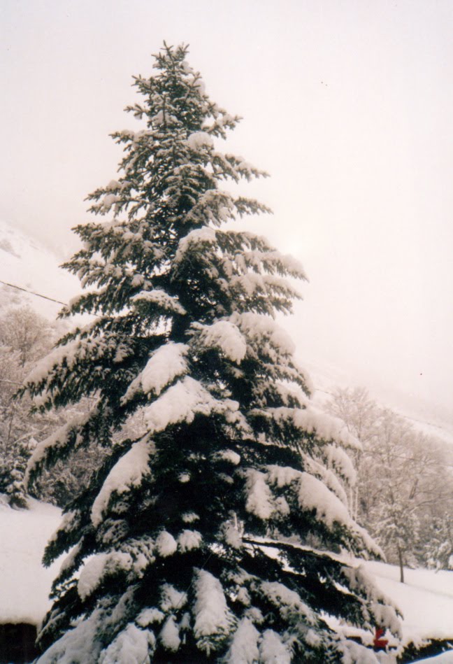 Monte perdido by Marçal.C.