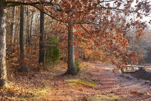 Horse Shoe / Lenape Trail at French Creek State Park by EHJ666