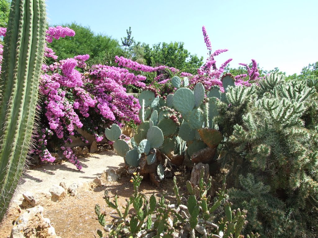 Botanicactus, Mallorca, 2010.08.06. by atti1000