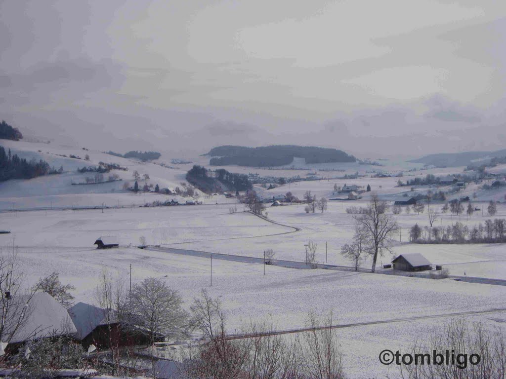 Aussicht von der Terasse Rüttihubelbad by ©tombligo