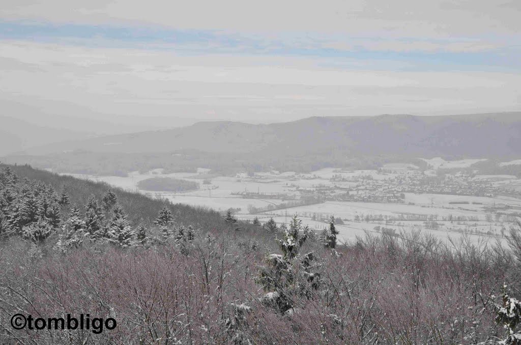 Altberg - Blick Richtung Ottelfingen • www.turmfinder.ch by ©tombligo.ch