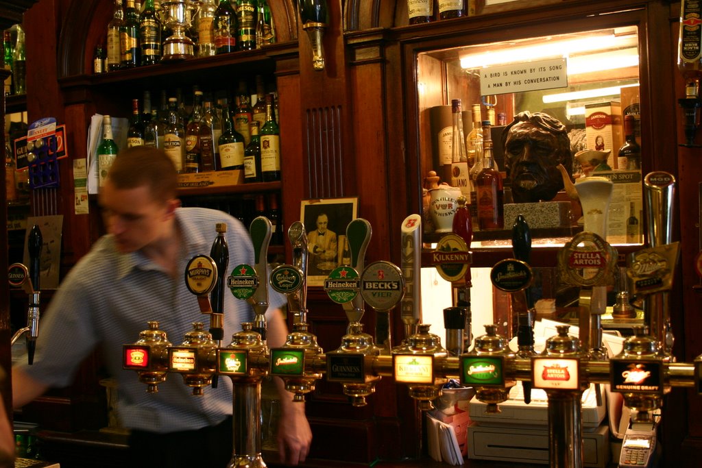 Palace Bar, Temple Bar, Dublin by Hans Sterkendries