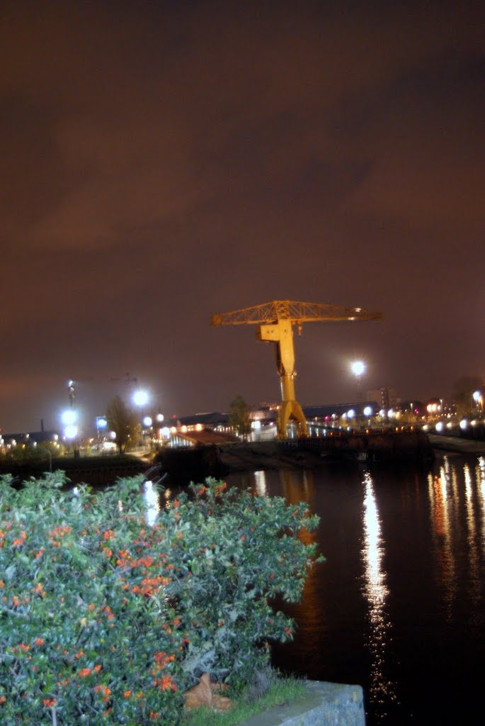 Nantes Grue Titan de nuit by dom44