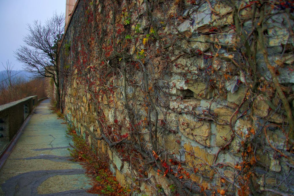 Grinzing, Vienna, Austria by Stefan Hosemann