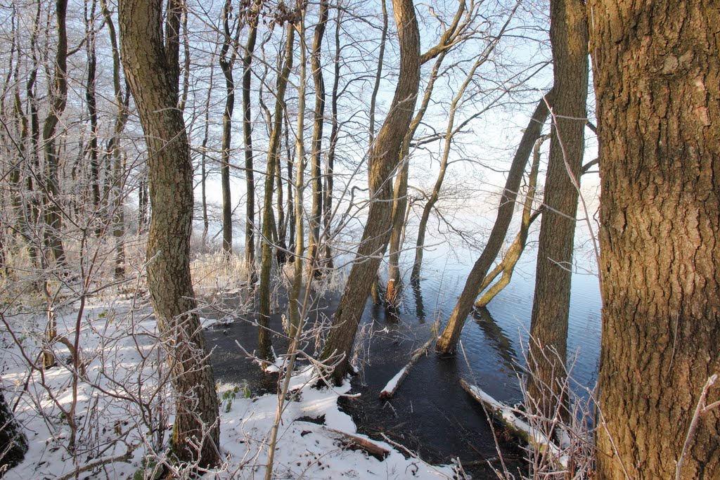 Rund um den Sankelmarker See im November 2010 by Frank Nadolni