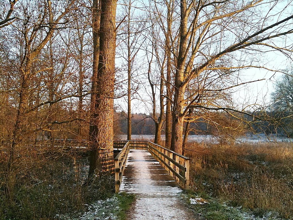 Am Aue-Wanderweg bei Harsefeld im November 2010. by Dierk Lawrenz