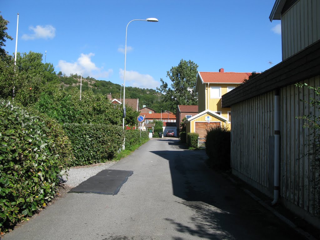 Gyllingsbergsgatan, Tolered, Göteborg 2010 by biketommy999