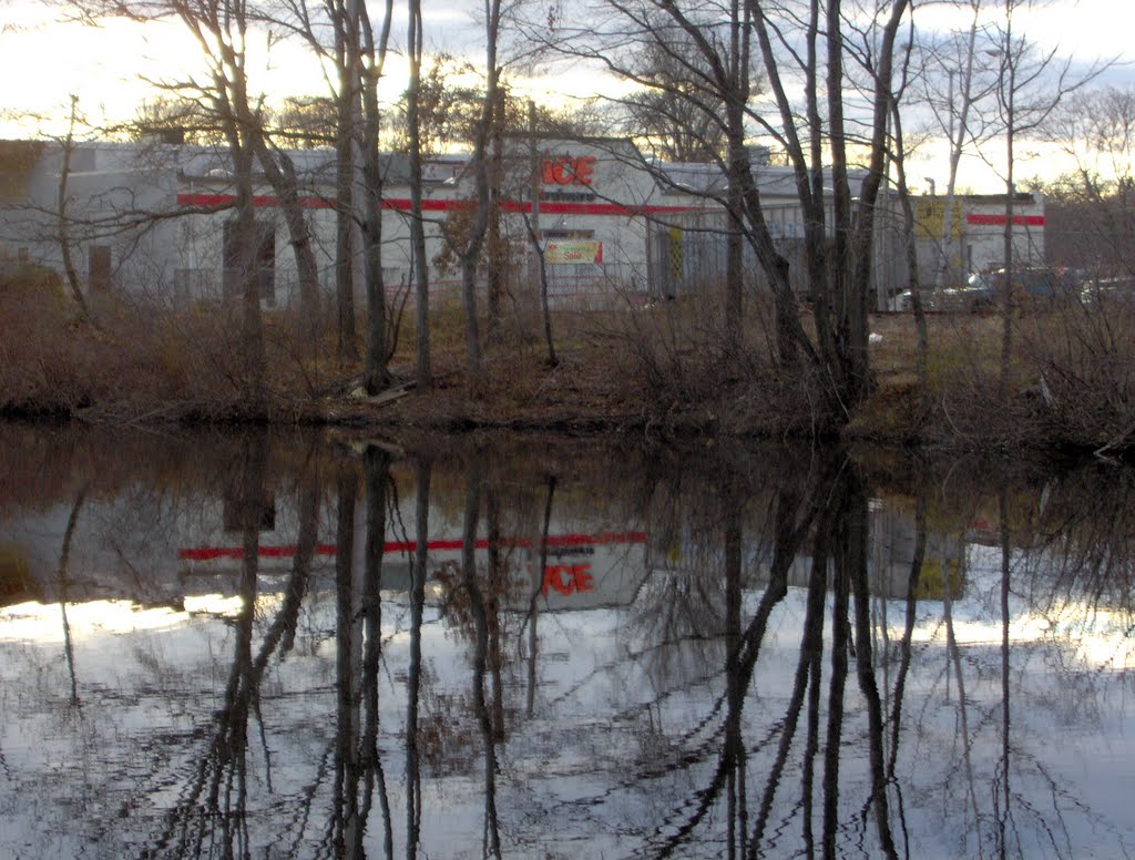 Ace Hardware reflected in Cooper's pond by taurus876