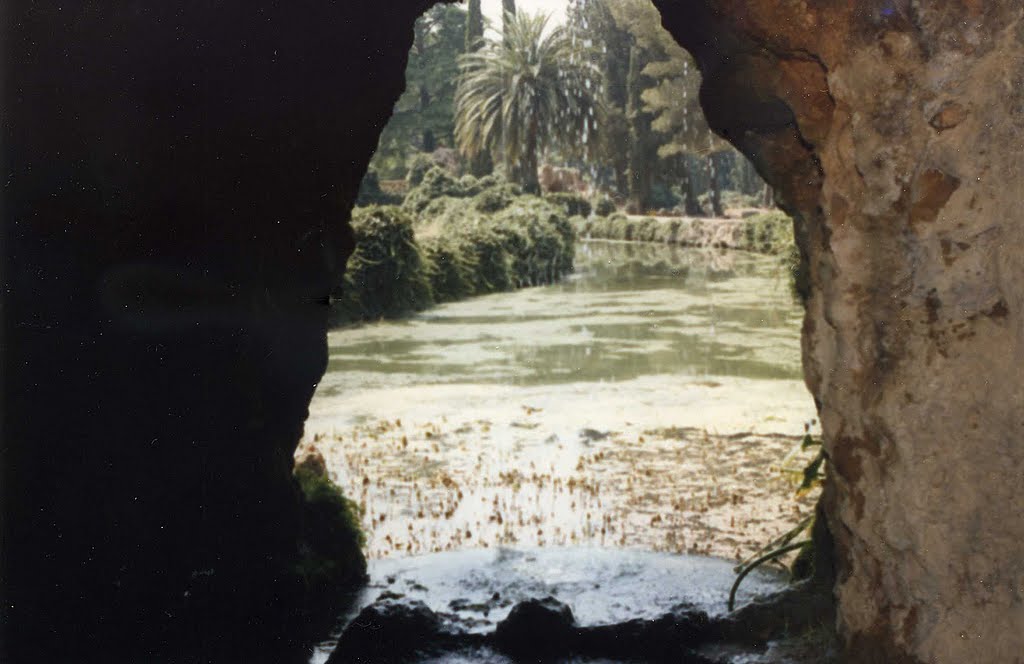 Vista desde la gruta (parque de samá,baix camp-cambrils) ® by Luis Alberto Fernánd…