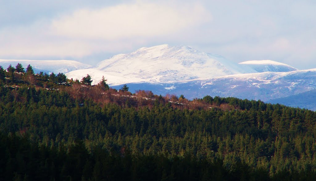 Sierra de Cebollera, San Lorenzo by Juan Castro