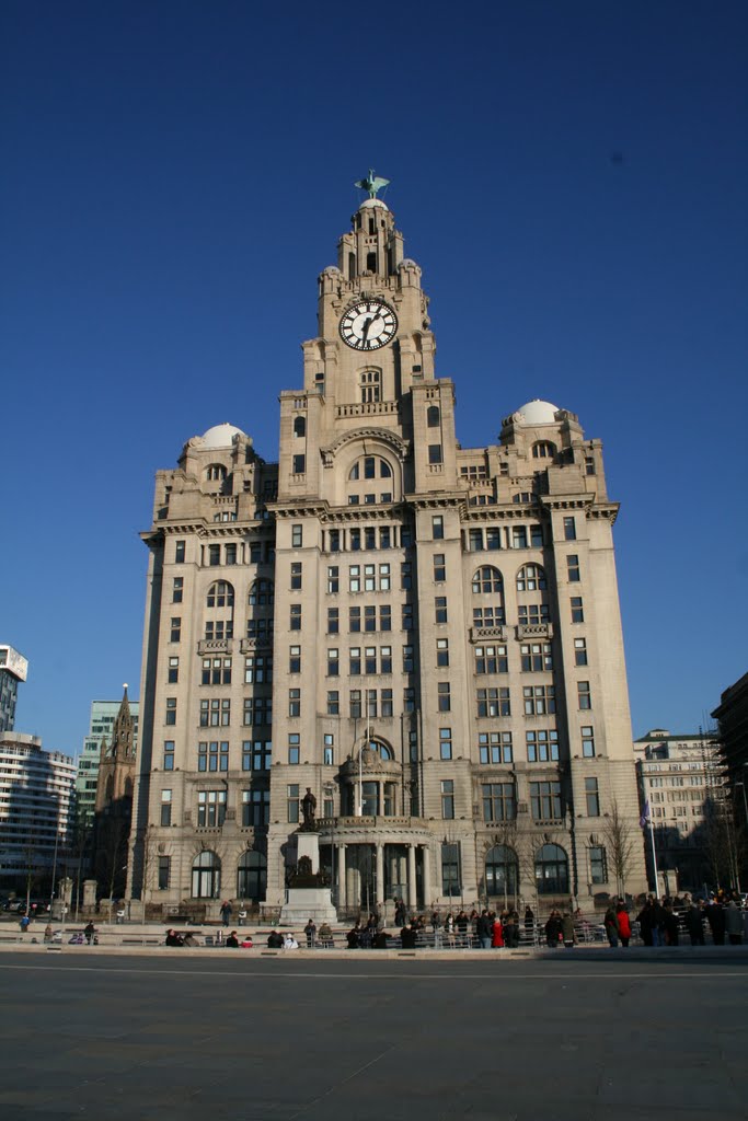 The liver building by ashtray1951