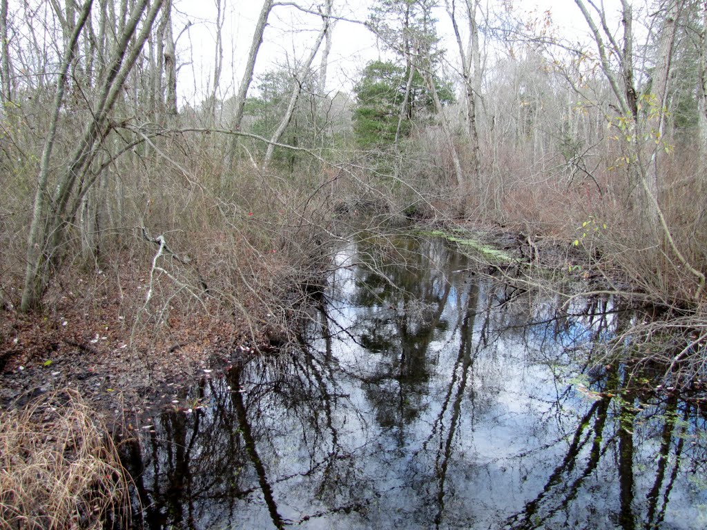 Sleeper Branch Downstream from Tremont Avenue by Chris Sanfino