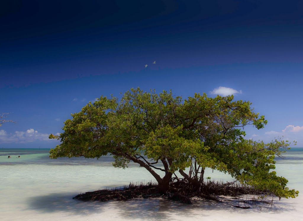 Annes Beach, Matecumbe, Florida Keys by Stephen Radford