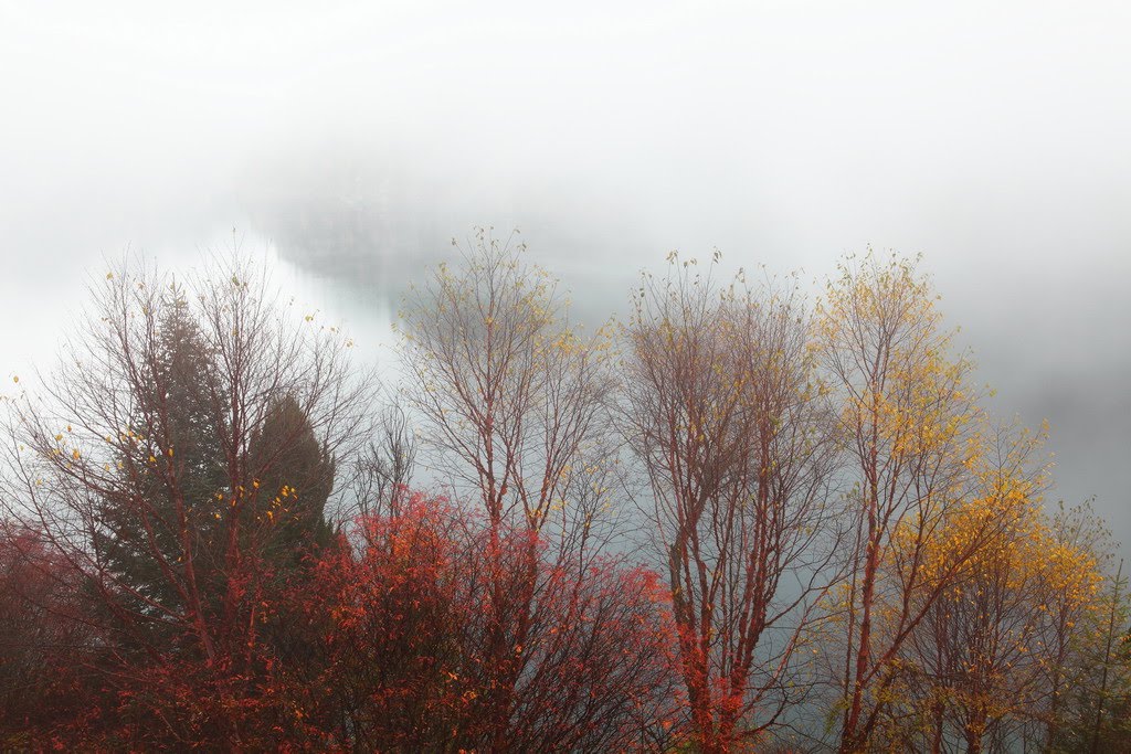 Jiuzhaigou, Aba, Sichuan, China by zhouxin