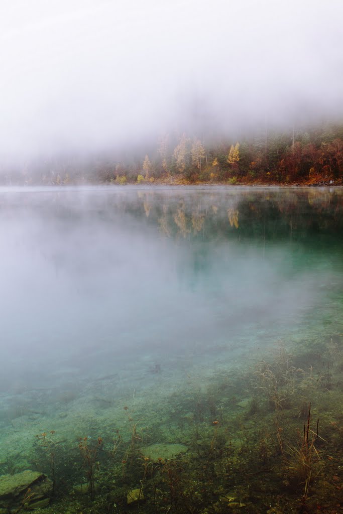 Jiuzhaigou, Aba, Sichuan, China by zhouxin