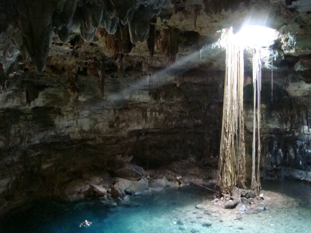 Cenote en Yucatan by fidel gonzalez