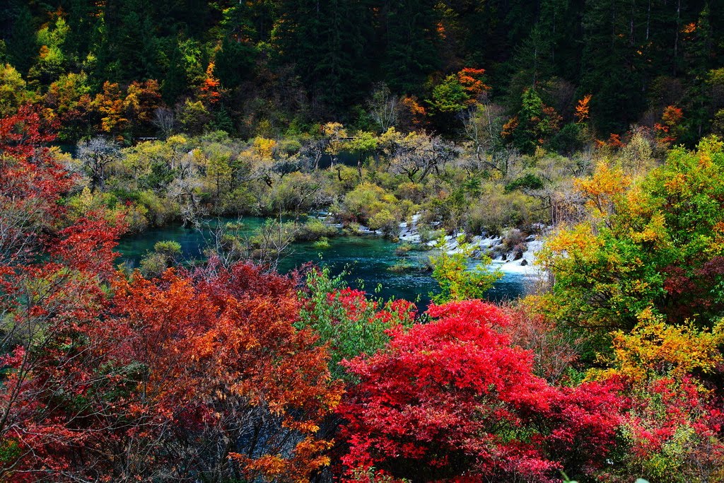 Jiuzhaigou, Aba, Sichuan, China by zhouxin