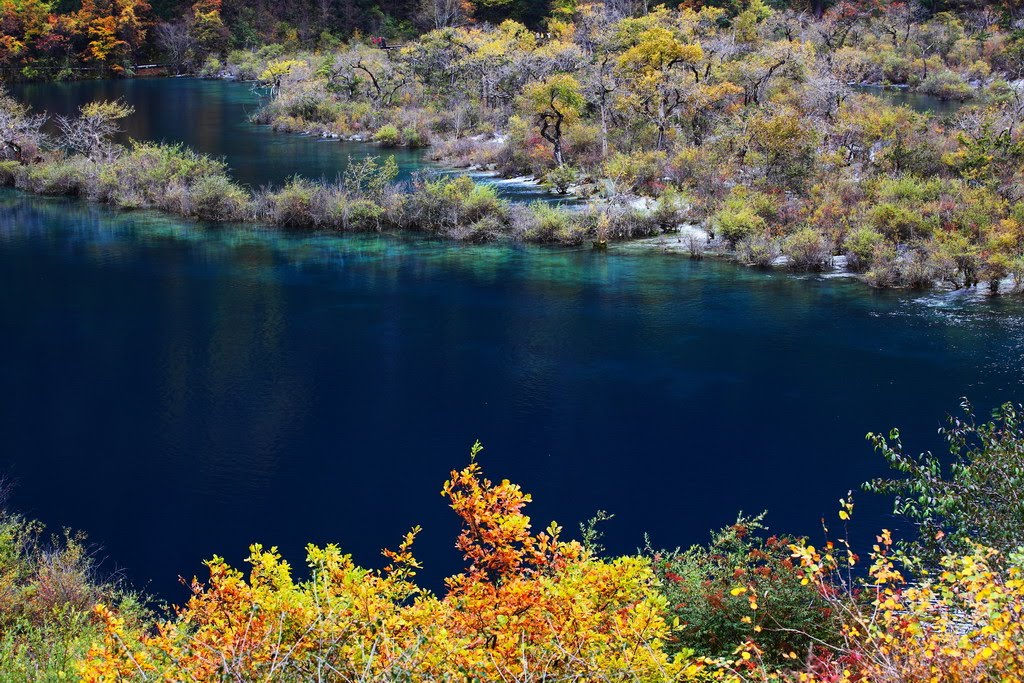 Jiuzhaigou, Aba, Sichuan, China by zhouxin