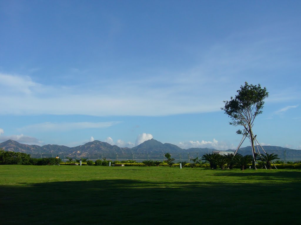 Sunny Day in Peninula, Shenzhen by wilsontcyeung