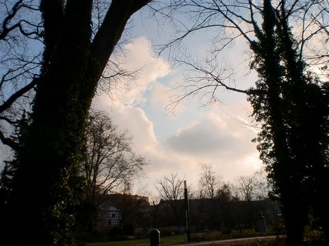 Himmelsblick im Heine-Park by Heidi Schulze