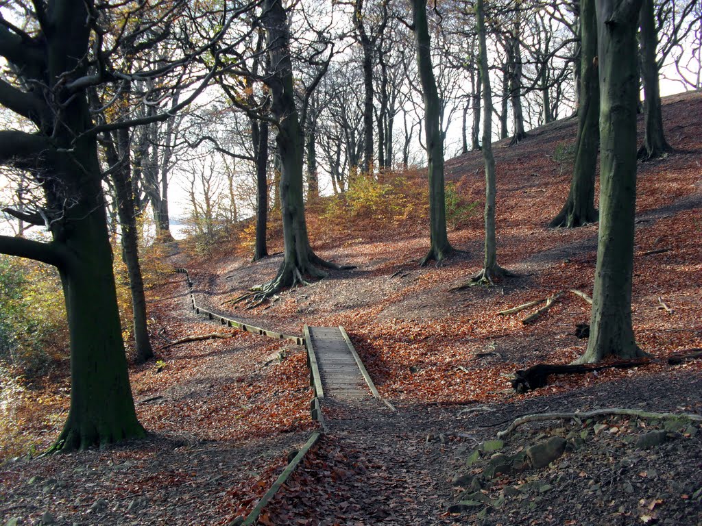 Anglezarke by Stone Hopper