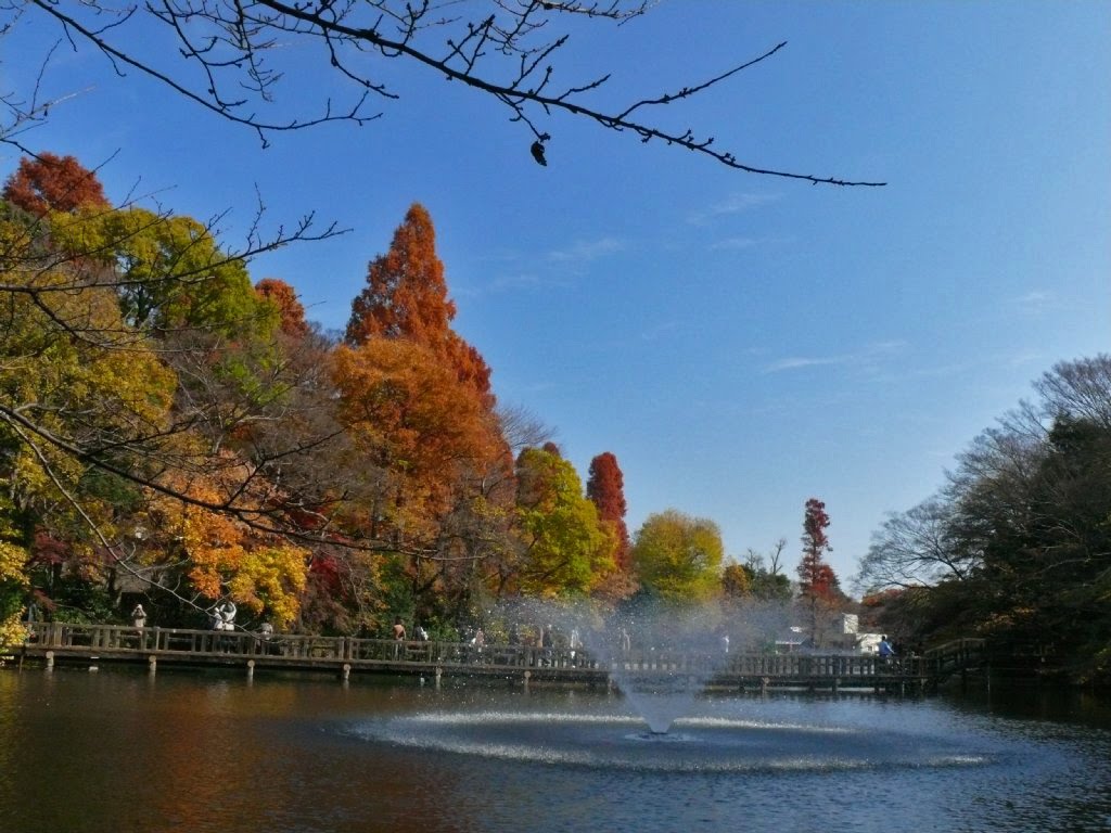 井の頭公園 by mthr 110