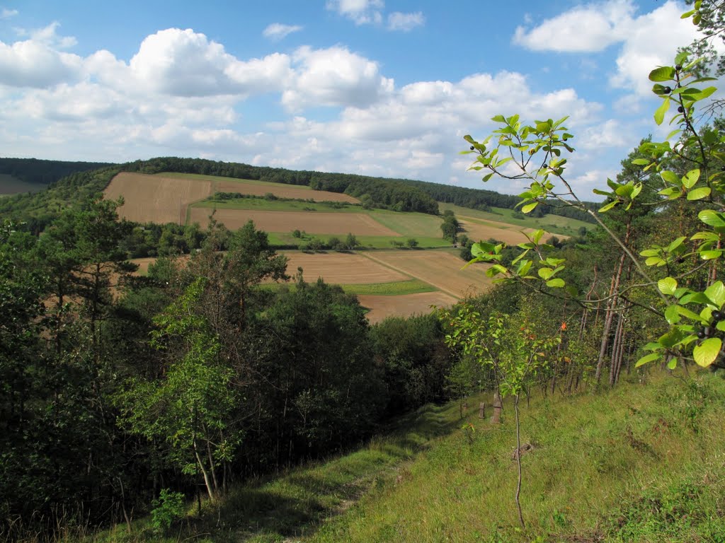 Bei Böttigheim: NSG Kreuzberg / Hohenberg: Kreuzweg by H. Beierstettel