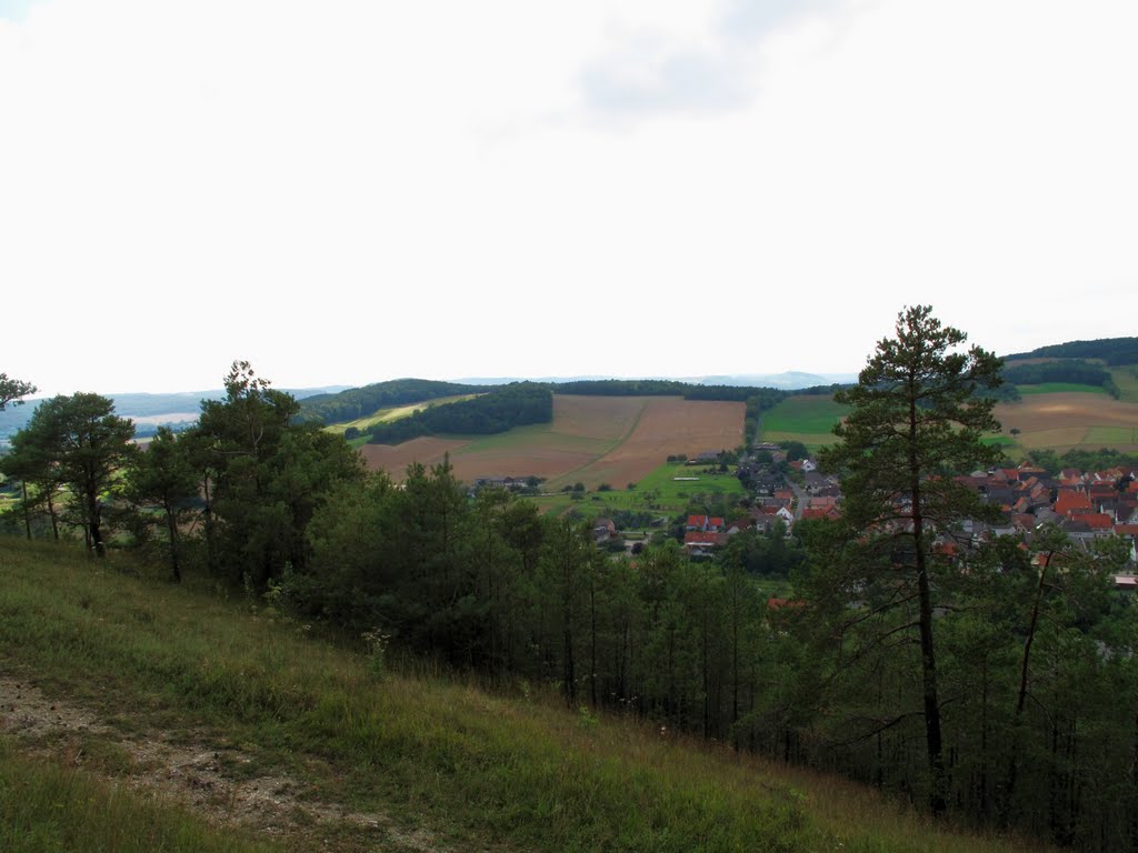 Bei Böttigheim: NSG Kreuzberg / Hohenberg: Blick auf Böttigheim by H. Beierstettel