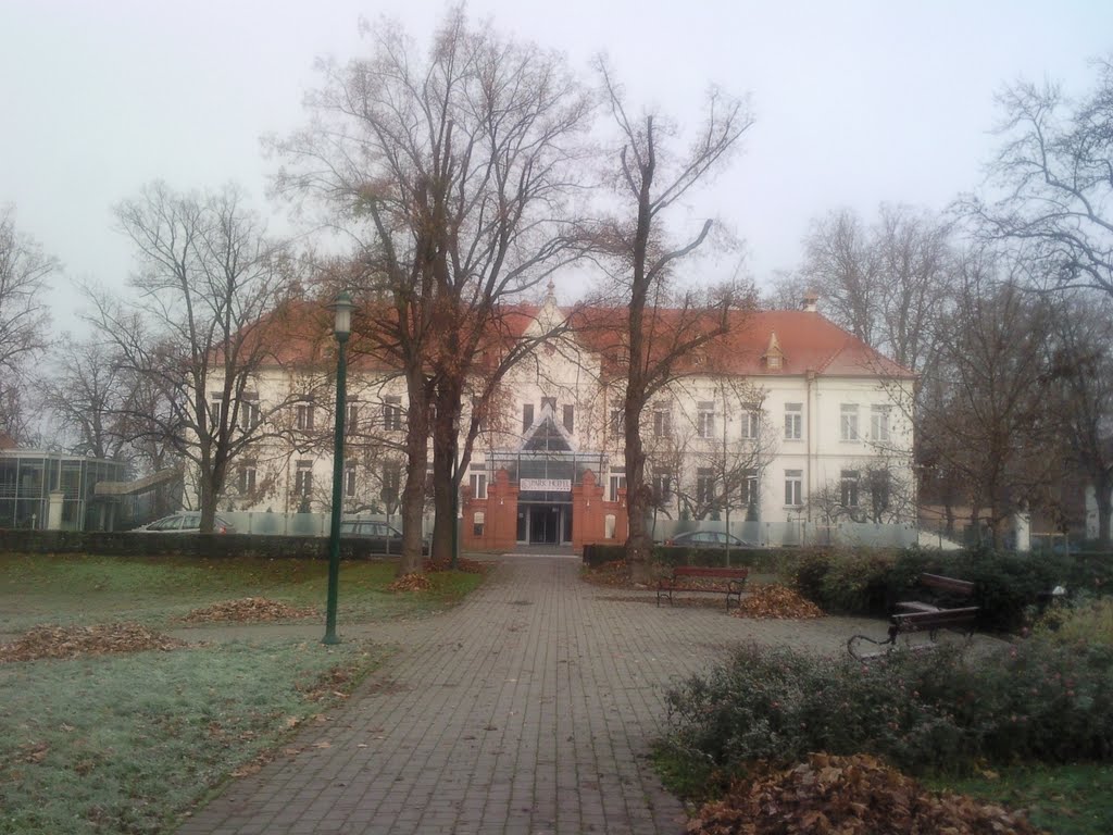 Szombathely - Hotel Park Pelikan by Tomislav Tomasevic