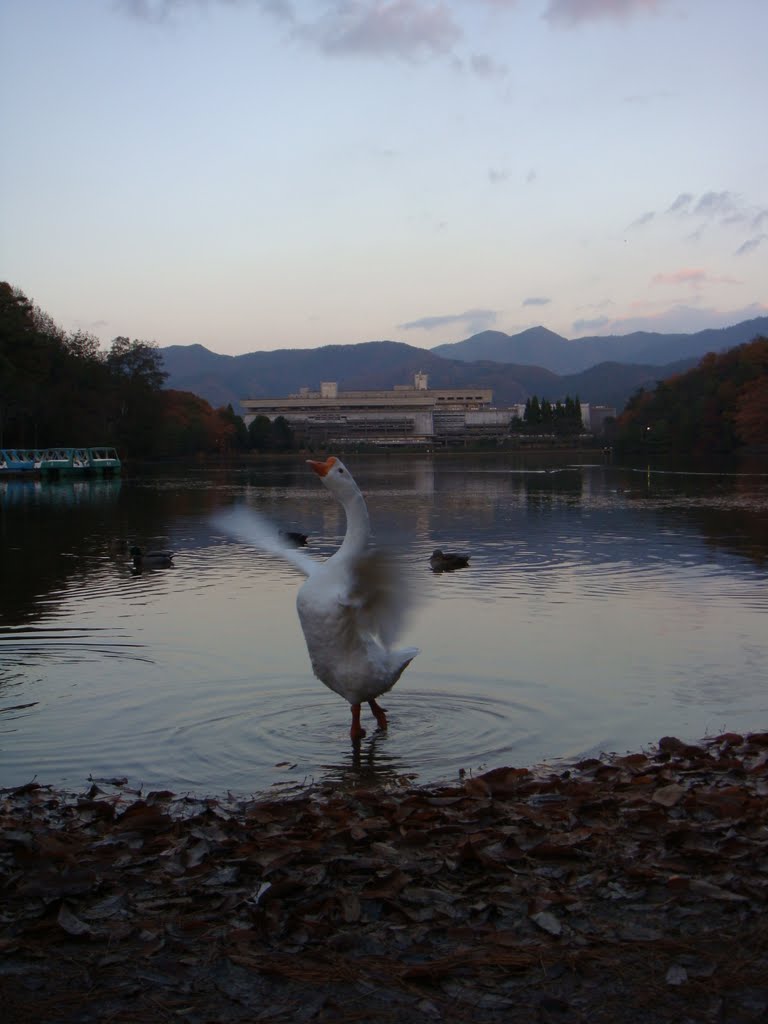 Takaragaike by katsuhisa.katu