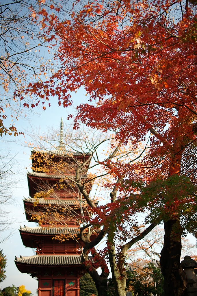 1 Chome-1 Ikegami, Ōta-ku, Tōkyō-to 146-0082, Japan by Ubic from tokyo