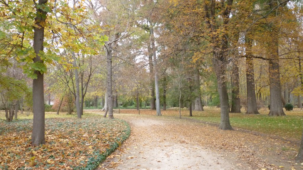 Jardines del Principe. Que maravilla de parque. by Luisiz2