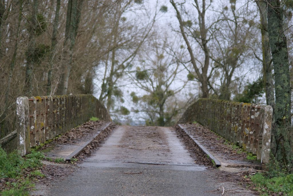 Marais Canal de la martinière Pont sur un étier by dom44