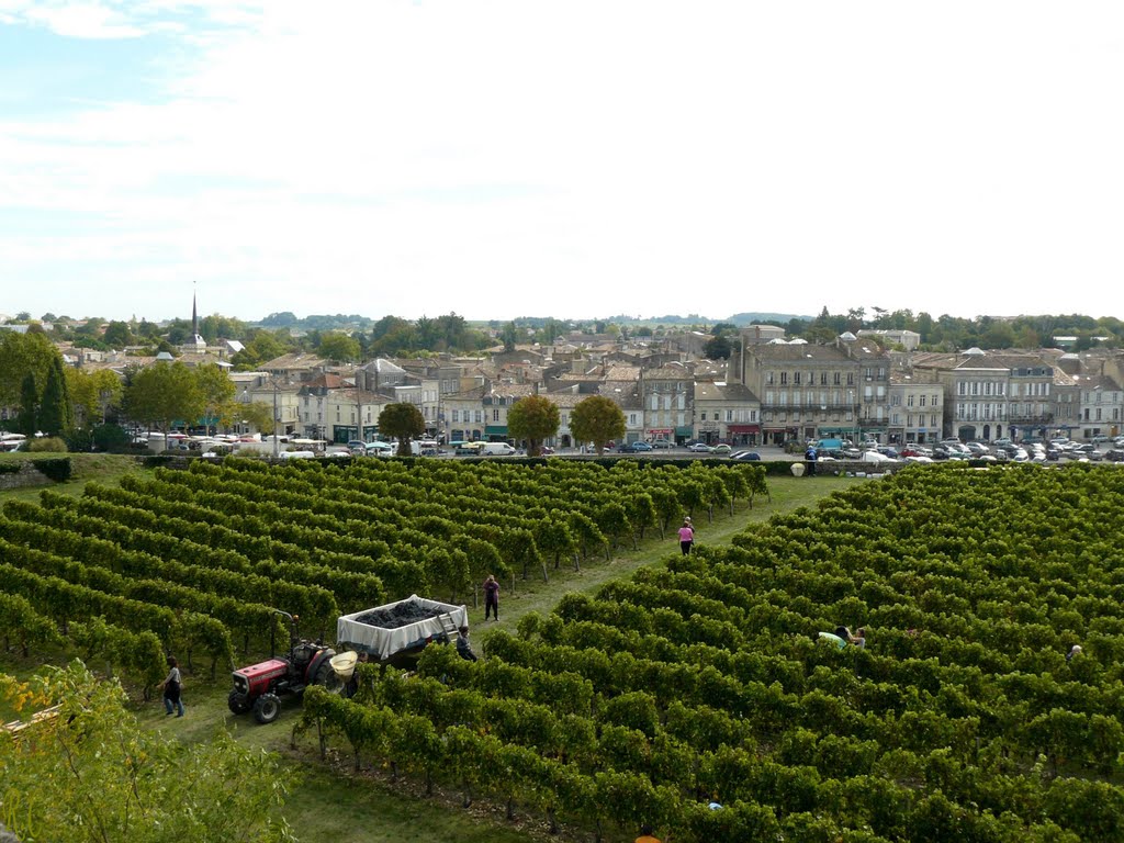 Blaye les vendanges au dessus de la ville by Roland Courtin