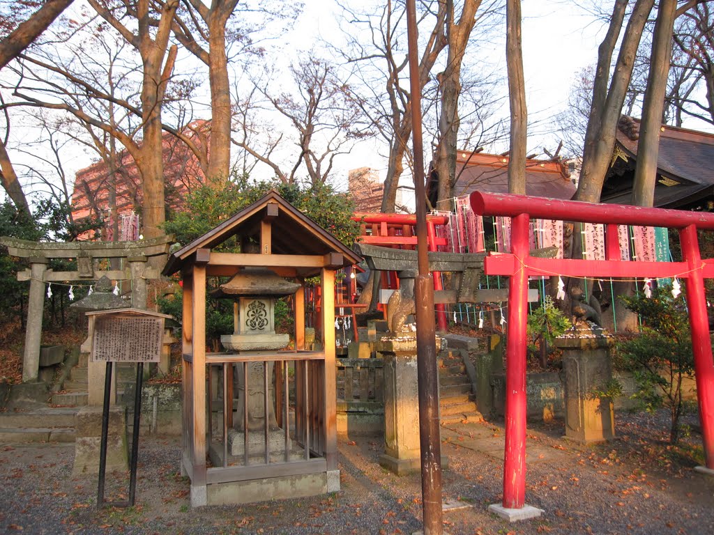 白王稲荷　（安積国造神社 内）　　2010/11/28 by kawashta@gmail.com