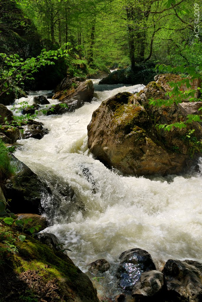 Creek near Sumela Monastery (May, 09) by Ahmet Cuneyt Selcuk