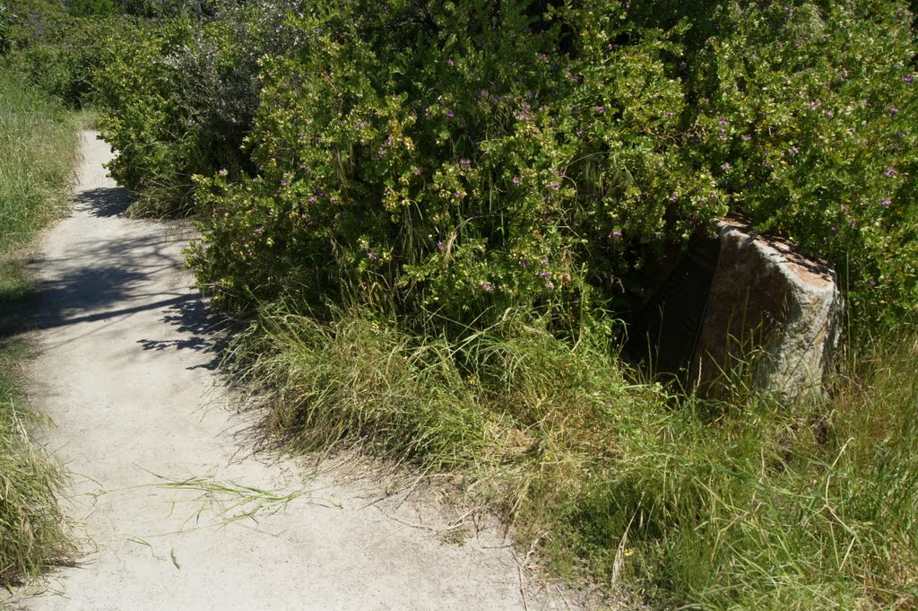 Marker Two 'Original Inhabitants' (2010) - part of the Mornington Peninsula Coastal Trail by Muzza from McCrae