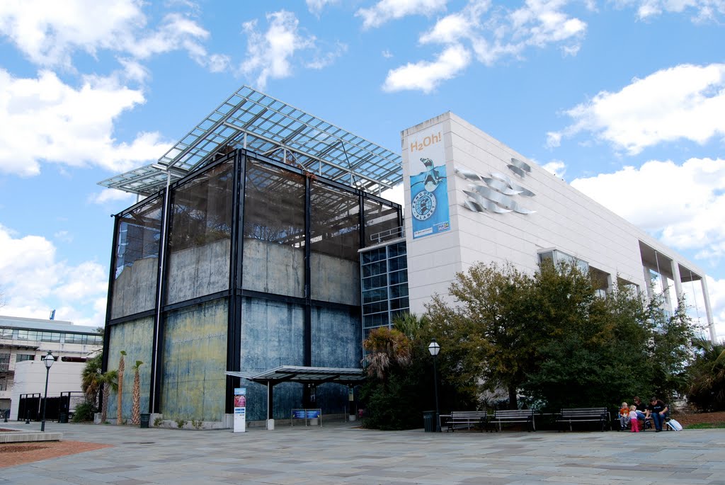 Charleston SC Aquarium by Valerie Craft