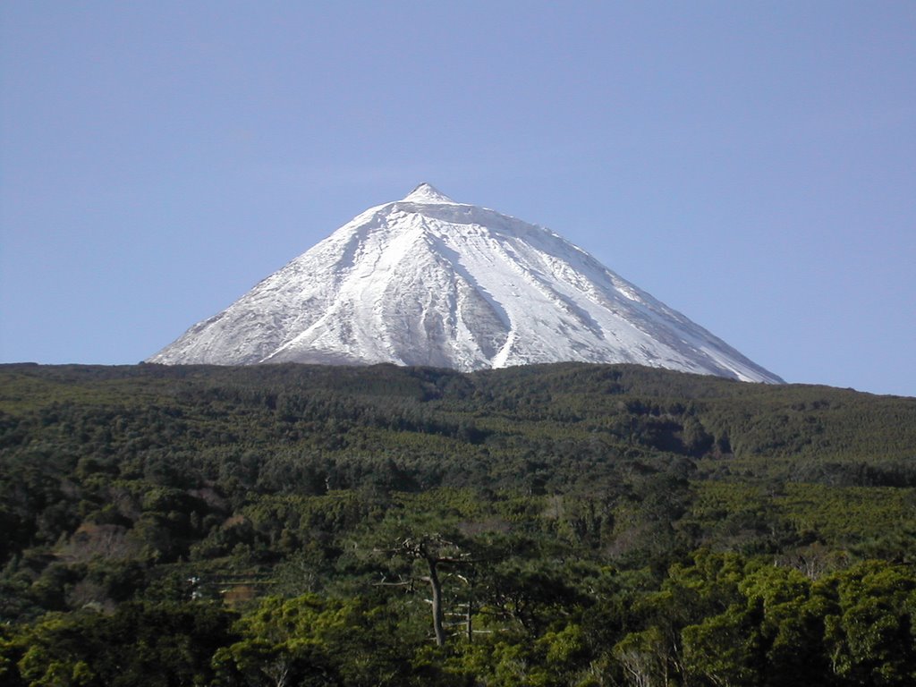 Pico num lindo dia de inverno by Senius