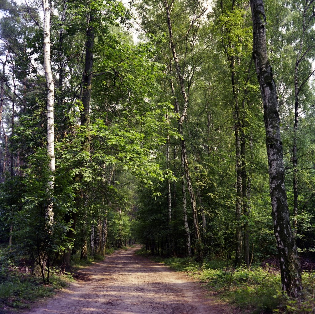 Ohligser Heide im Jahr 1976, Solingen by Juergen Roesener