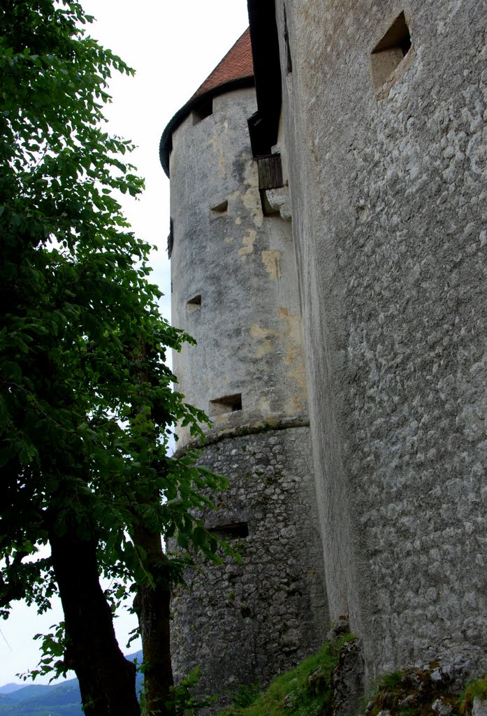 Bled castle / Blejski grad by Renatorius (Reno)