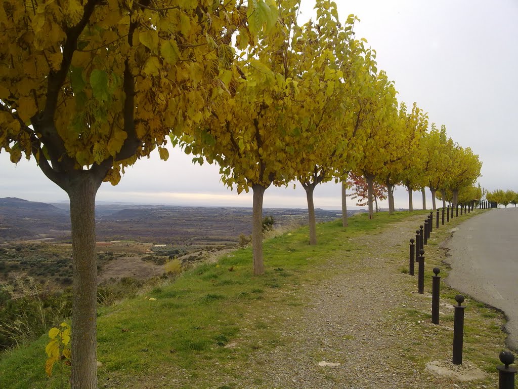 Tardor a Alquezar by santiperamass