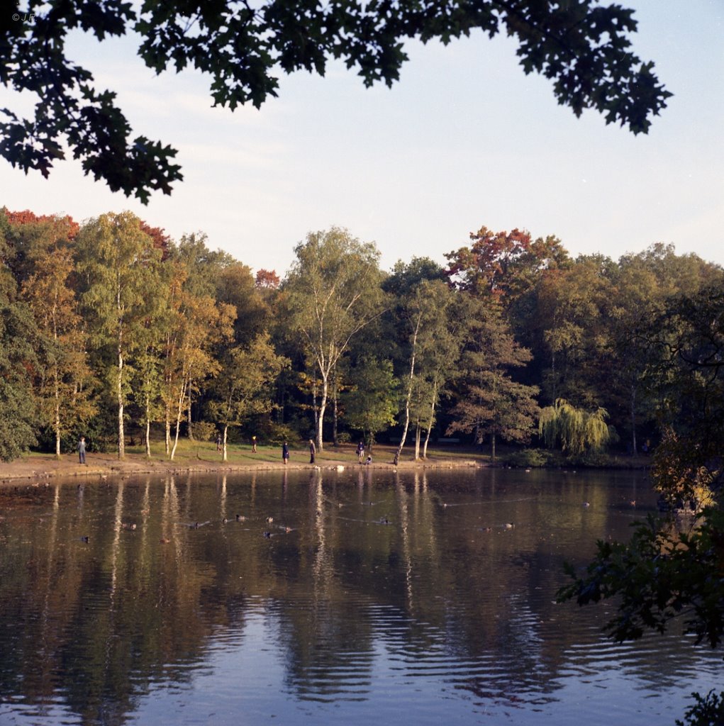 Ohligser Heide - Herbst 1975, Solingen by Juergen Roesener