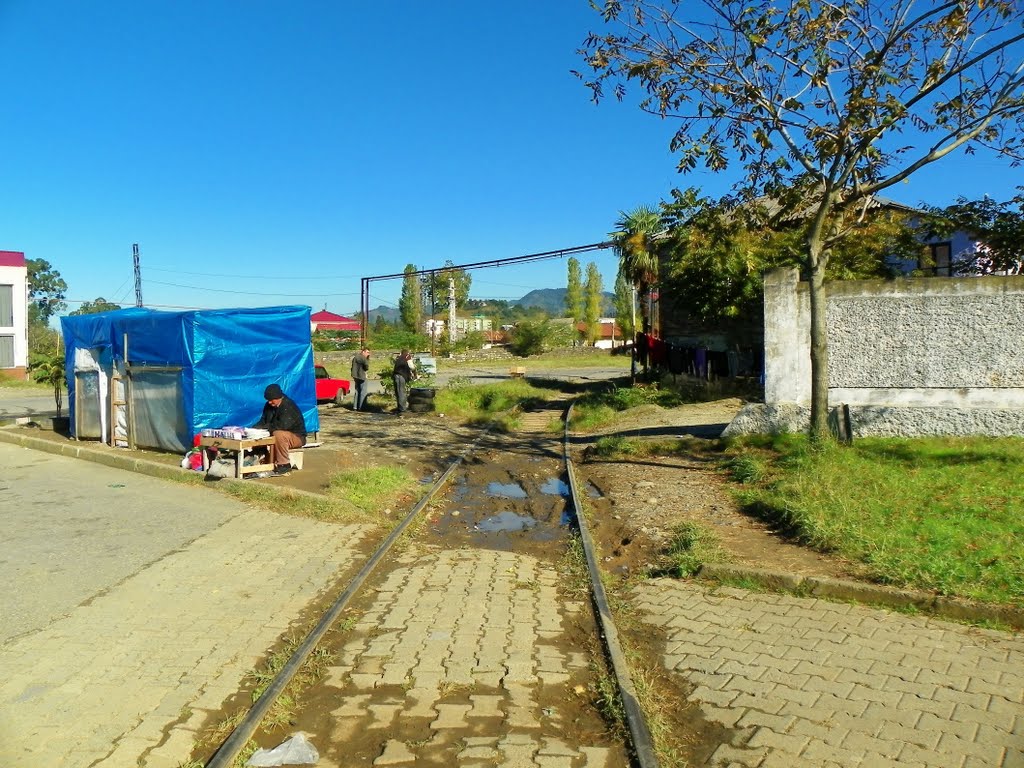 Railway track to Batumi oil terminal by Pogromca Gašnič