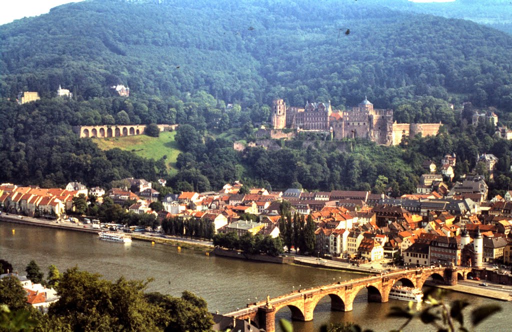 Blick auf Altheidelberg mit dem Schloss by Didi Spörk