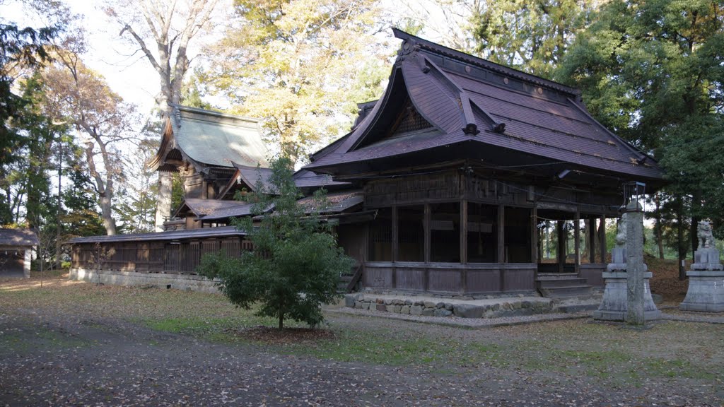 須坂市井上　小坂神社(2) by makkisse999