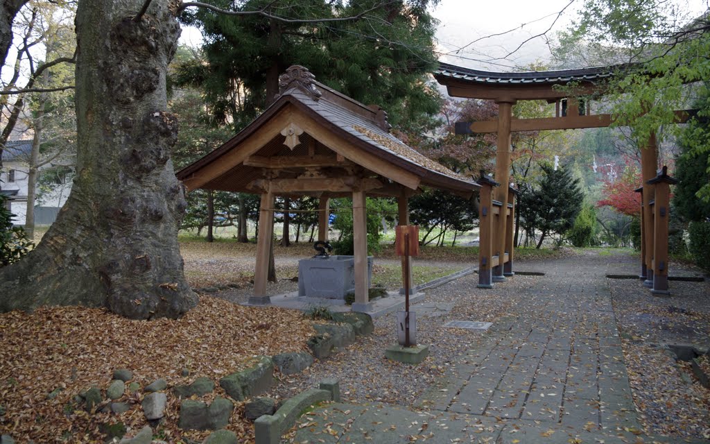 須坂市井上　小坂神社(4) by makkisse999