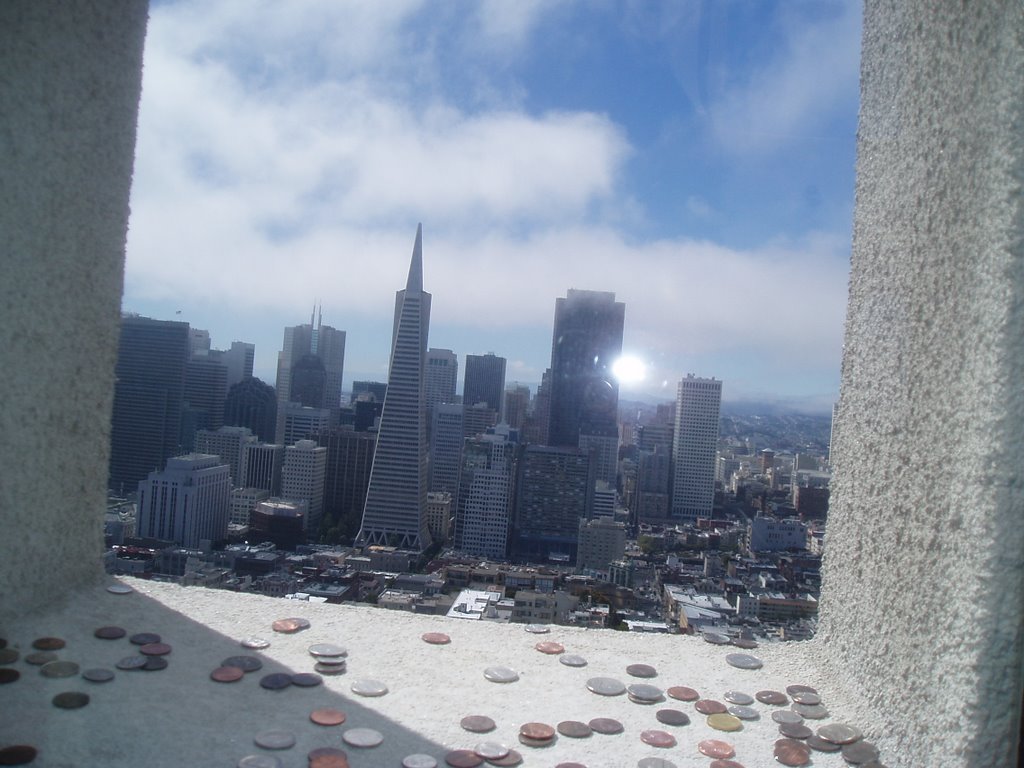 View from Coit Tower by CaliTexUSA